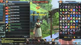 Raiderz Repair Bug