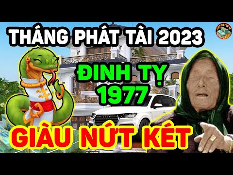 Video Tử Vi Năm 2023 Tuổi Đinh Tỵ 1977, Gặp 4 Tháng Phát Tài... - youtube