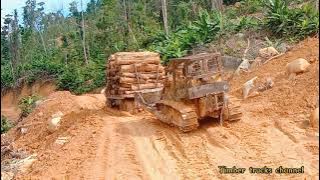 lori balak [ logging truck ] santaiwong Malaysia truck kayu