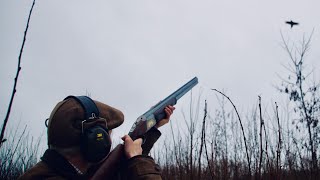 Fasanjagt i Danmark - Pheasant hunting in Denmark (4K)