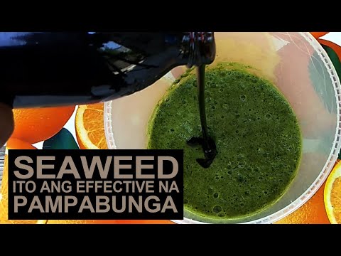 Video: Paano Gamitin ang Mga Halaman ng Calendula - Alamin ang Tungkol sa Mga Benepisyo at Paggamit ng Calendula