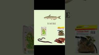 señuelos y carnadas para especies de agua dulce #lobina #carpa #bagre #tilapia 🐟🎣🐟🎣