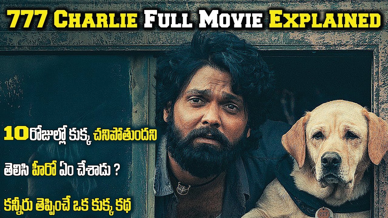 777-charlie-full-movie-explained-in-telugu-777-charlie-telugu-full