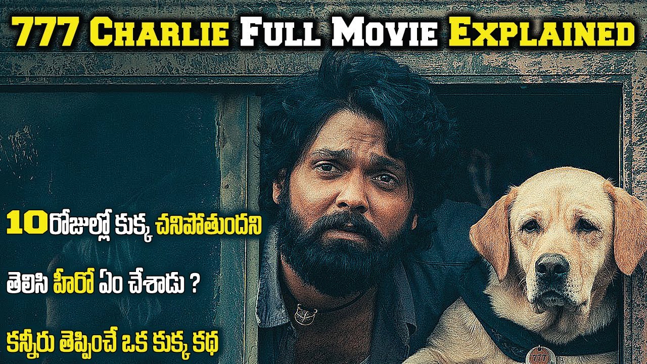 777 charlie movie review 123telugu