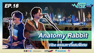 VIBE SQUARE [EP.18] Anatomy Rabbit | FULL EP