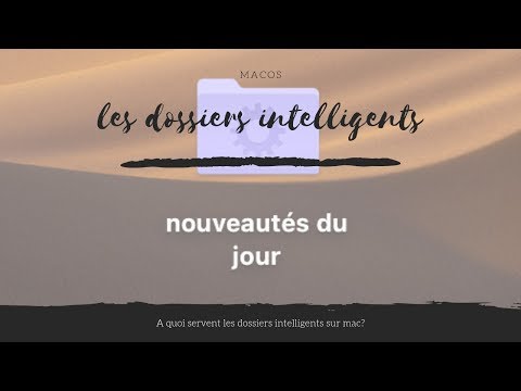 Vidéo: A quoi sert le dossier ?