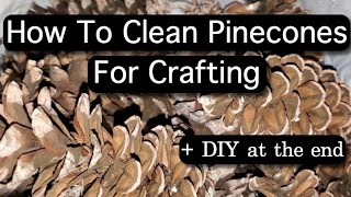 How To Clean Pinecones For Crafting + DIY Pinecone Tree (Target Inspired)