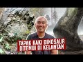 Tapak Kaki Dinosaur Ditemui di Kelantan