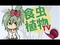 食虫植物TV　チャンネル紹介動画