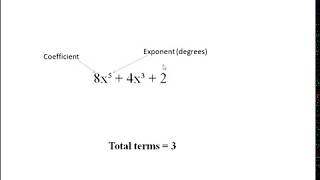 polynomial addition using array (c language)