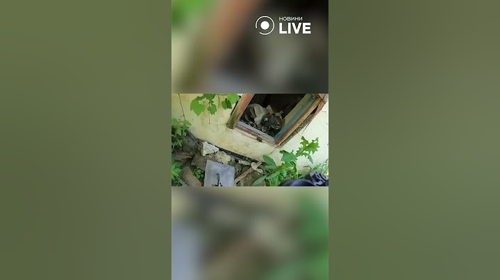 ⚡️⚡️⚡️Відео з камери воїна