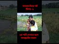 নানু ভালো হয়ে গেছে তাই তারা আনন্দে #shortmusic #cutefunny #babyvideos