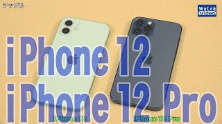 法林岳之のケータイしようぜ!!／iPhone 12 Pro/iPhone 12／596／2020年11月11日公開