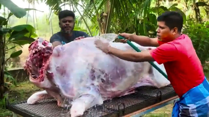 ROASTING A WHOLE GIANT BEEF Under a Barrel | The Unique Recipe | Cooking In Our Village