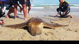 2020 Sasaa A Team Nationals Mossel Bay