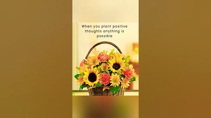 Be Positive Always #positivevibes #positivity #positive #positiveenergy #positivethinking #post