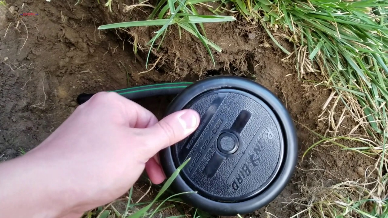 Another Maxi Paw Sprinkler Stuff YouTube