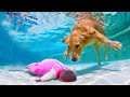【衝撃】動物が人間を助けた感動的な瞬間