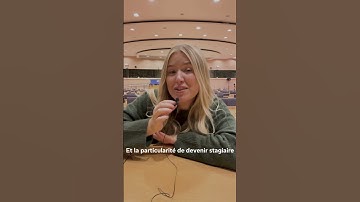 Candidatures - Stages Schuman 2024