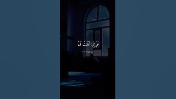 سورة نوح # الاية [ 4 _ 14 ] # ماهر المعيقلي