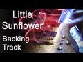 Little Sunflower Groovy Backing Track - Freddie Hubbard