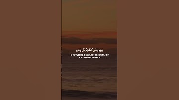 الملك يومئذ الحق للرحمن - تلاوة هادئه ورائعه جداً #تلاوة #القرآن_الكريم #تلاوات_خاشعة #اكسبلور