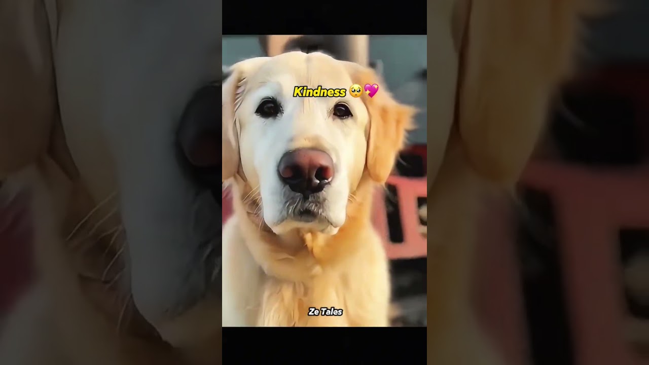 No matter how cold the world is, someone is always loving you[爱心]