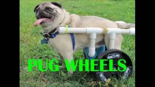 DIY PUG WHEELS