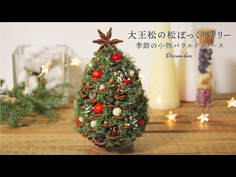 ⚠️専用品⚠️ 大王松 の 松ぼっくりツリー 土台付き ツリー クリスマス ⚠️専用品⚠️ 大王松 の 松ぼっくりツリー 土台付き ツリー