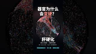 器官为什么会变硬？最新《Science》揭开衰老“防弹衣” | XBlab读新论文01