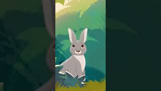 Bunny Gets His Bounce Back 🐇SPIRIT & FRIENDS