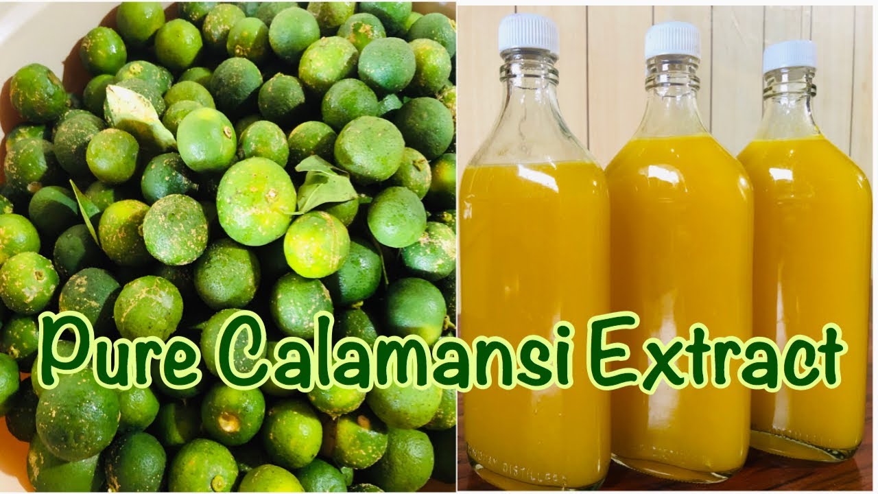 Pure Calamansi Extract YouTube
