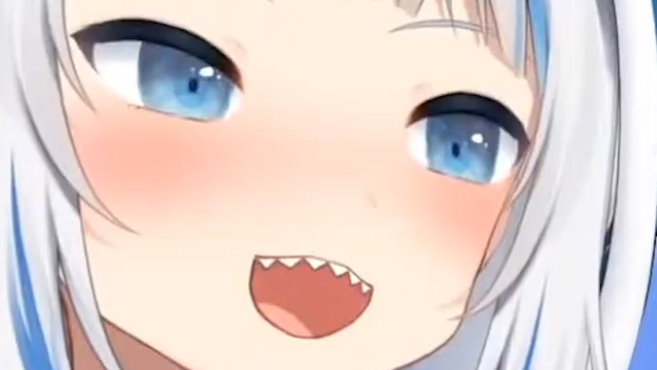 A Video About Gawr Gura