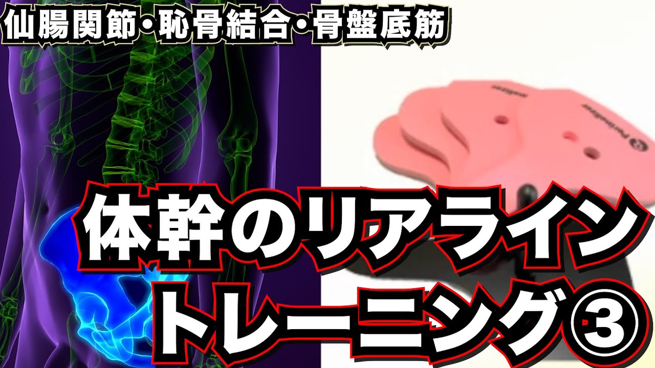 仙腸関節不安定と骨盤底筋リリース　#セミナー, #セラピスト, #リハビリ, #神経痛, #リハビリ, #解剖学, #柔道整復師, #治療