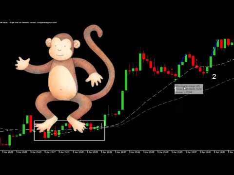 Estrategia forex winslow
