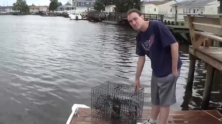 How to catch crabs using Teresa's secret bait.