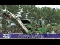Báo Nghệ An: Vì sao mía ở Tân Kỳ đạt năng suất cao?