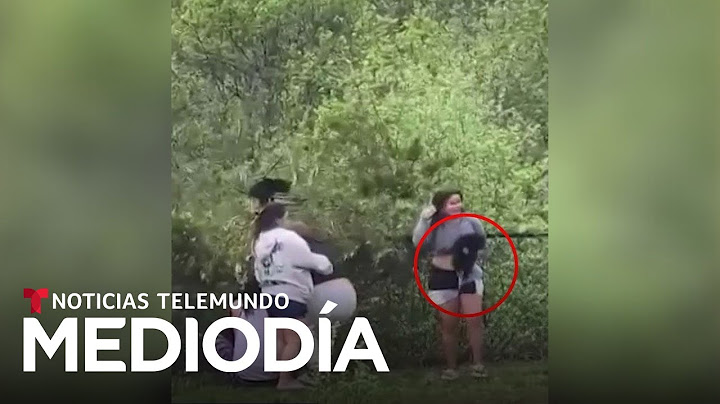 Se recupera uno de los oseznos malogrados por imprudentes que querían fotos | Noticias Telemundo