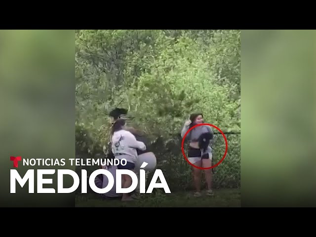 Se recupera uno de los oseznos malogrados por imprudentes que querían tomarse fotos con ellos