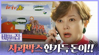 [비밀의 집] “함숙진 대표님께 돌려드립니다&#39;” 돈이 가득한 사과박스를 받은 이승연!, MBC 220…