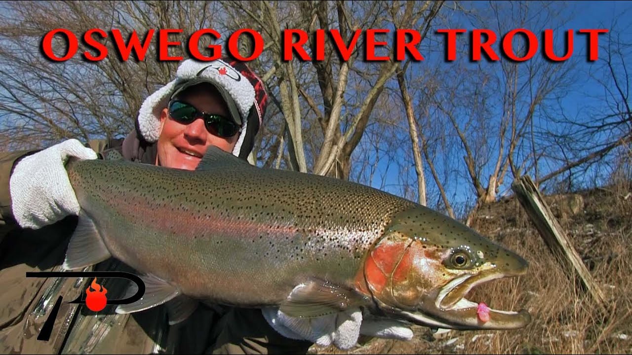 Oswego River Steelhead Fishing 