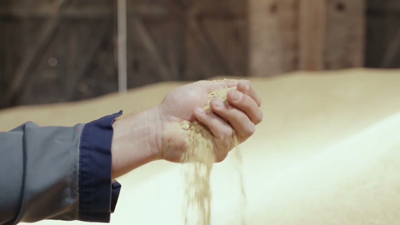 Wendelinushof (WZB gGmbH) - Imagefilm