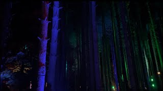 ELECTRIC FOREST 2023 WALKTHROUGH & WORKING VLOG (ALL DAYS IN 1 VIDEO!) 👍🏼🌲