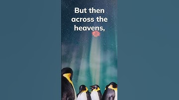 FIREBALL! #penguin #3Danimation UE5