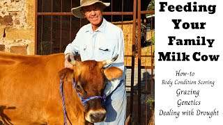 HOW TO FEED DAIRY COWS   ( Grassfed/ Grainfed)  GENETICS