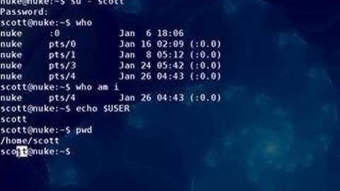POS/420 - Video Lecture 5