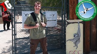 Gibbon Conservation Center!