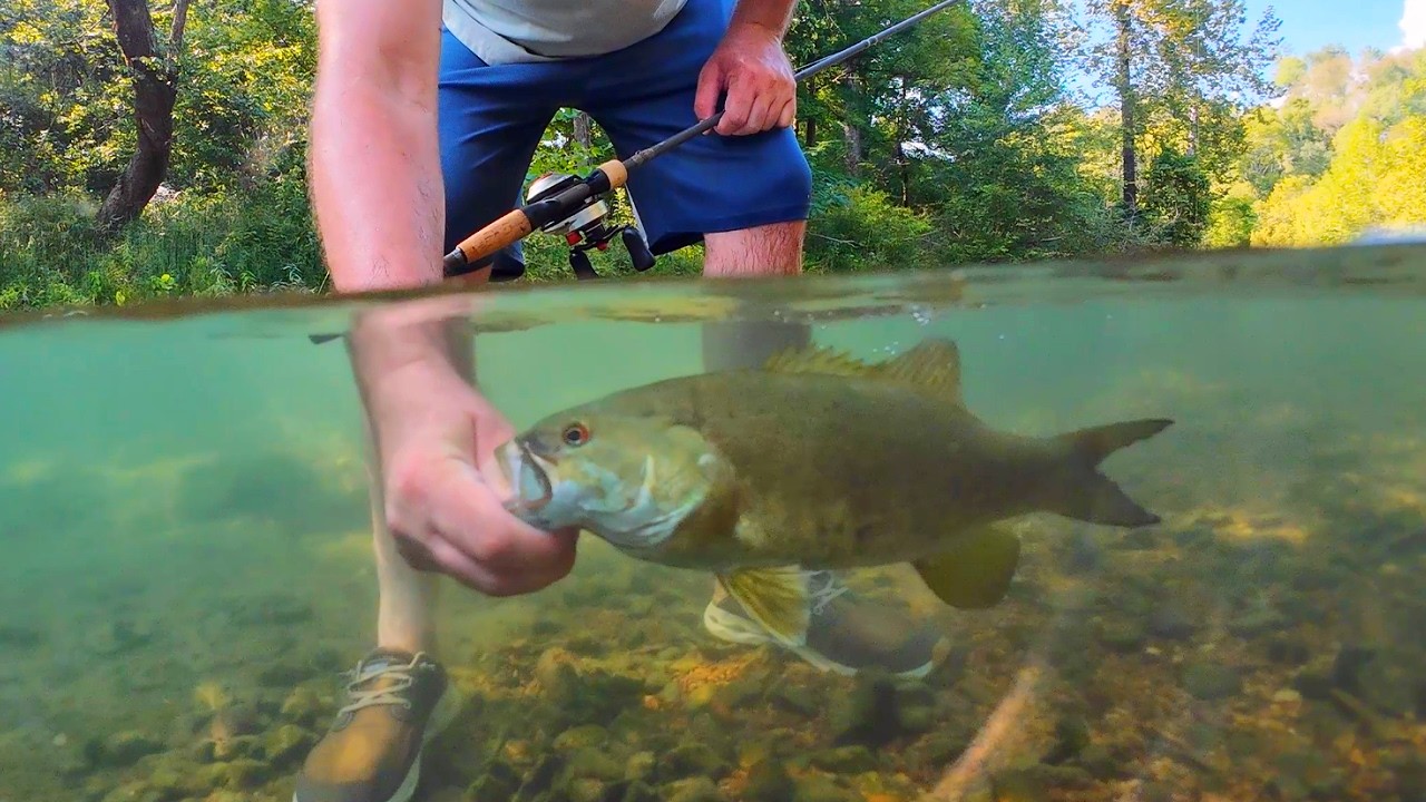 Creek Fishing Adventures