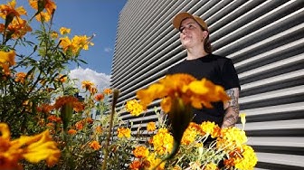 Thumbnail for Rooftop farms aren’t just for food