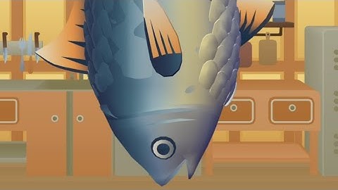 Sushi Roll 3d game android gameplay | all levels |